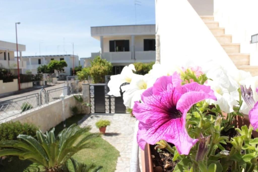 Villa Diomira Torre dell'Orso Kültér fotó